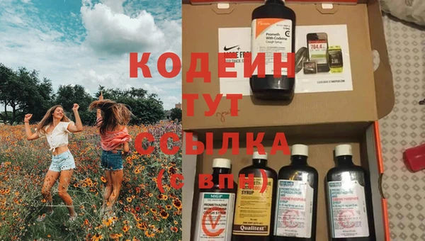 таблы Пересвет