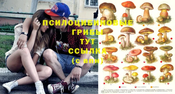 mdma Покачи